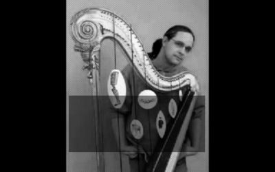 Thaumotropic Harp Project